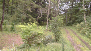 長野県菅平高原 ゆたか山荘 坂上 2026/09/11 15:45