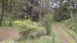 長野県菅平高原 ゆたか山荘 坂上 2026/09/11 16:00