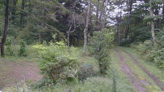 長野県菅平高原 ゆたか山荘 坂上 2026/09/11 16:30