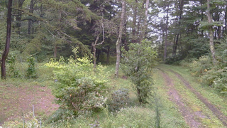 長野県菅平高原 ゆたか山荘 坂上 2026/09/11 16:45