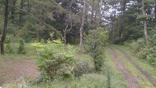 長野県菅平高原 ゆたか山荘 坂上 2026/09/11 17:00