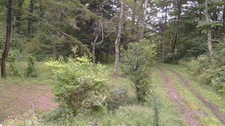 長野県菅平高原 ゆたか山荘 坂上 2026/09/11 17:15