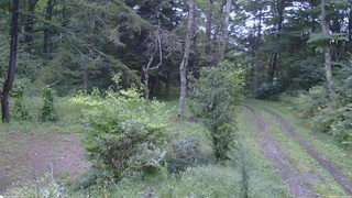 長野県菅平高原 ゆたか山荘 坂上 2026/09/11 17:30