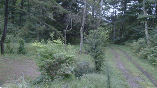 長野県菅平高原 ゆたか山荘 坂上 2026/09/11 17:45