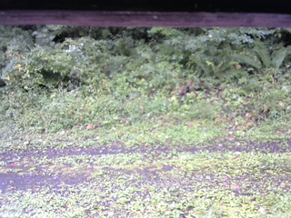 長野県菅平高原 ゆたか山荘 東側(坂下) 2026/09/12 08:00