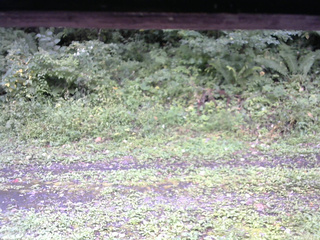 長野県菅平高原 ゆたか山荘 東側(坂下) 2026/09/12 11:45