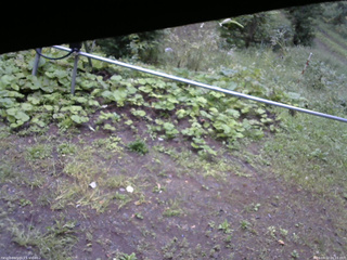 長野県菅平高原 ゆたか山荘 駐車場 2026/09/12 06:15