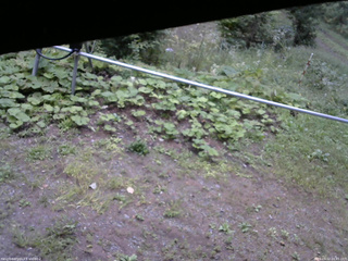 長野県菅平高原 ゆたか山荘 駐車場 2026/09/12 16:45