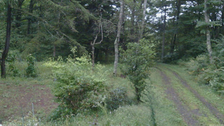 長野県菅平高原 ゆたか山荘 坂上 2026/09/12 05:30