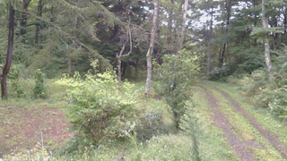 長野県菅平高原 ゆたか山荘 坂上 2026/09/12 05:45