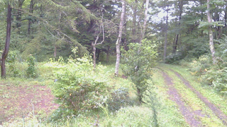 長野県菅平高原 ゆたか山荘 坂上 2026/09/12 06:00