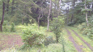 長野県菅平高原 ゆたか山荘 坂上 2026/09/12 06:15
