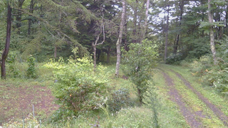 長野県菅平高原 ゆたか山荘 坂上 2026/09/12 06:45