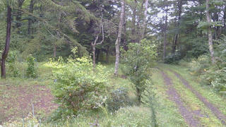 長野県菅平高原 ゆたか山荘 坂上 2026/09/12 07:15