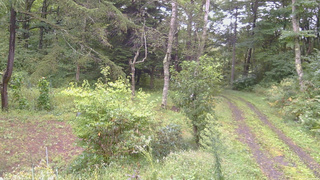 長野県菅平高原 ゆたか山荘 坂上 2026/09/12 07:30