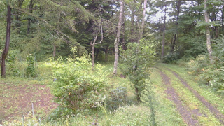 長野県菅平高原 ゆたか山荘 坂上 2026/09/12 07:45