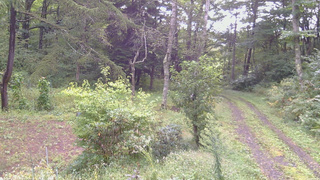 長野県菅平高原 ゆたか山荘 坂上 2026/09/12 08:00