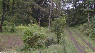 長野県菅平高原 ゆたか山荘 坂上 2026/09/12 08:15