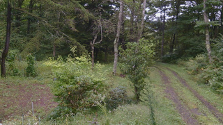 長野県菅平高原 ゆたか山荘 坂上 2026/09/12 08:30