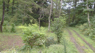 長野県菅平高原 ゆたか山荘 坂上 2026/09/12 09:00