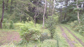 長野県菅平高原 ゆたか山荘 坂上 2026/09/12 09:15