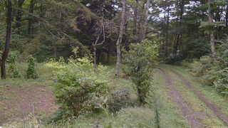 長野県菅平高原 ゆたか山荘 坂上 2026/09/12 09:30