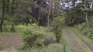 長野県菅平高原 ゆたか山荘 坂上 2026/09/12 09:45