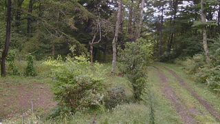 長野県菅平高原 ゆたか山荘 坂上 2026/09/12 10:00