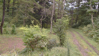長野県菅平高原 ゆたか山荘 坂上 2026/09/12 10:30