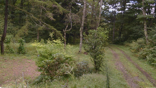 長野県菅平高原 ゆたか山荘 坂上 2026/09/12 11:15