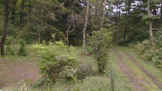 長野県菅平高原 ゆたか山荘 坂上 2026/09/12 12:00