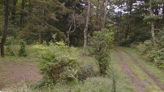 長野県菅平高原 ゆたか山荘 坂上 2026/09/12 12:15
