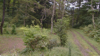 長野県菅平高原 ゆたか山荘 坂上 2026/09/12 12:30