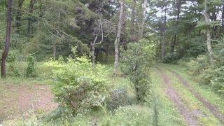 長野県菅平高原 ゆたか山荘 坂上 2026/09/12 13:00