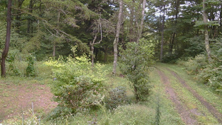 長野県菅平高原 ゆたか山荘 坂上 2026/09/12 13:30
