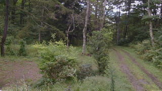 長野県菅平高原 ゆたか山荘 坂上 2026/09/12 14:00