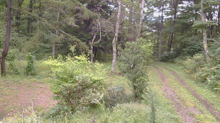 長野県菅平高原 ゆたか山荘 坂上 2026/09/12 14:15