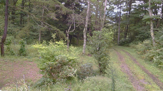 長野県菅平高原 ゆたか山荘 坂上 2026/09/12 14:30