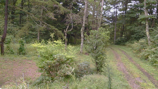 長野県菅平高原 ゆたか山荘 坂上 2026/09/12 14:45