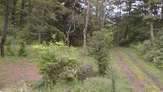 長野県菅平高原 ゆたか山荘 坂上 2026/09/12 15:00