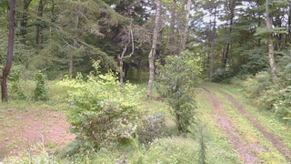 長野県菅平高原 ゆたか山荘 坂上 2026/09/12 15:15
