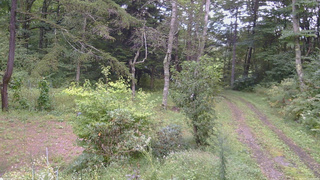 長野県菅平高原 ゆたか山荘 坂上 2026/09/12 15:30