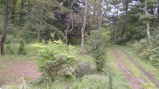 長野県菅平高原 ゆたか山荘 坂上 2026/09/12 15:45