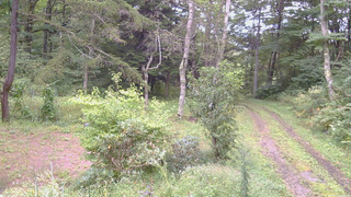 長野県菅平高原 ゆたか山荘 坂上 2026/09/12 16:00