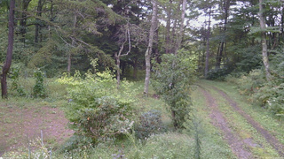 長野県菅平高原 ゆたか山荘 坂上 2026/09/12 16:30