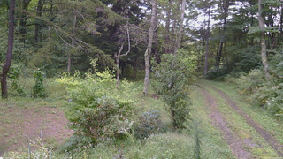 長野県菅平高原 ゆたか山荘 坂上 2026/09/12 16:45