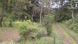 長野県菅平高原 ゆたか山荘 坂上 2026/09/12 17:00