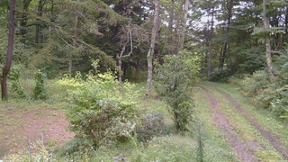 長野県菅平高原 ゆたか山荘 坂上 2026/09/12 17:15