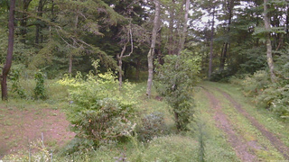 長野県菅平高原 ゆたか山荘 坂上 2026/09/12 17:30