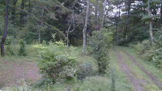 長野県菅平高原 ゆたか山荘 坂上 2026/09/12 17:45